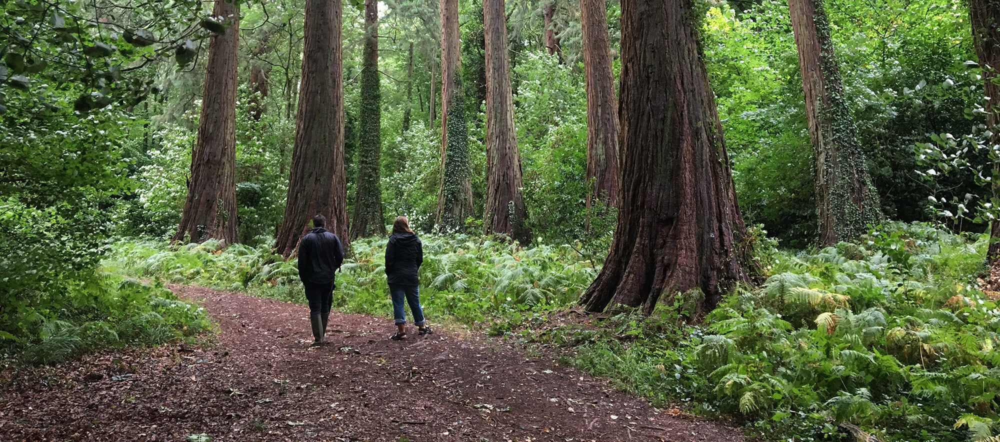 Ashton Hill Bristol dog walk Bristol Barkers