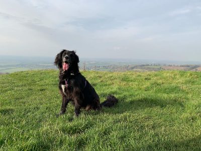 Image of Bath Lansdown Circular