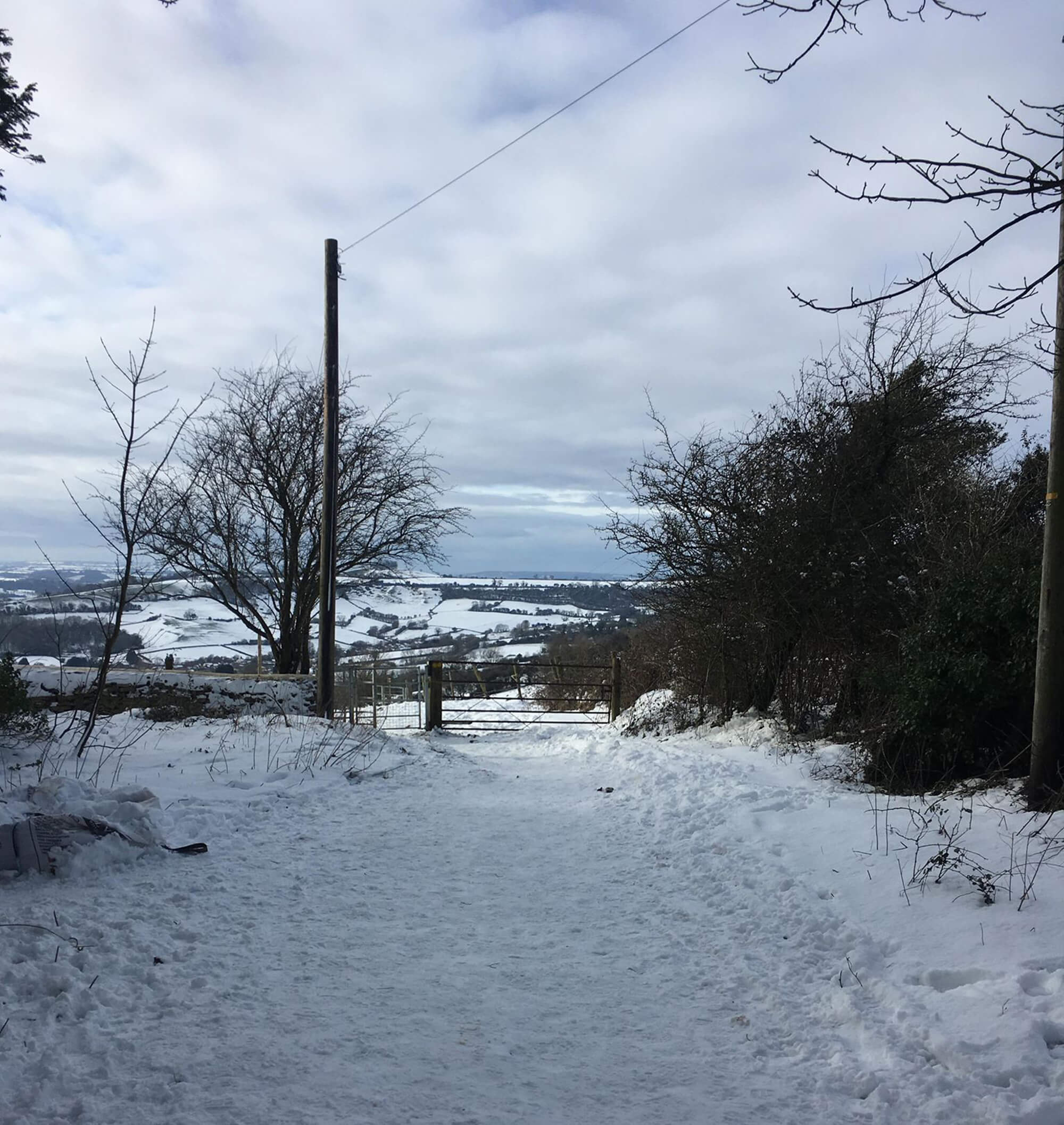 Bath Racecourse Bristol dog walk Bristol Barkers