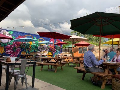Image of The Gloucester Old Spot