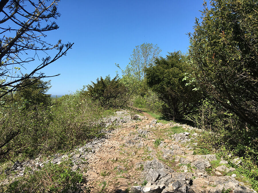 image 16 of undefined