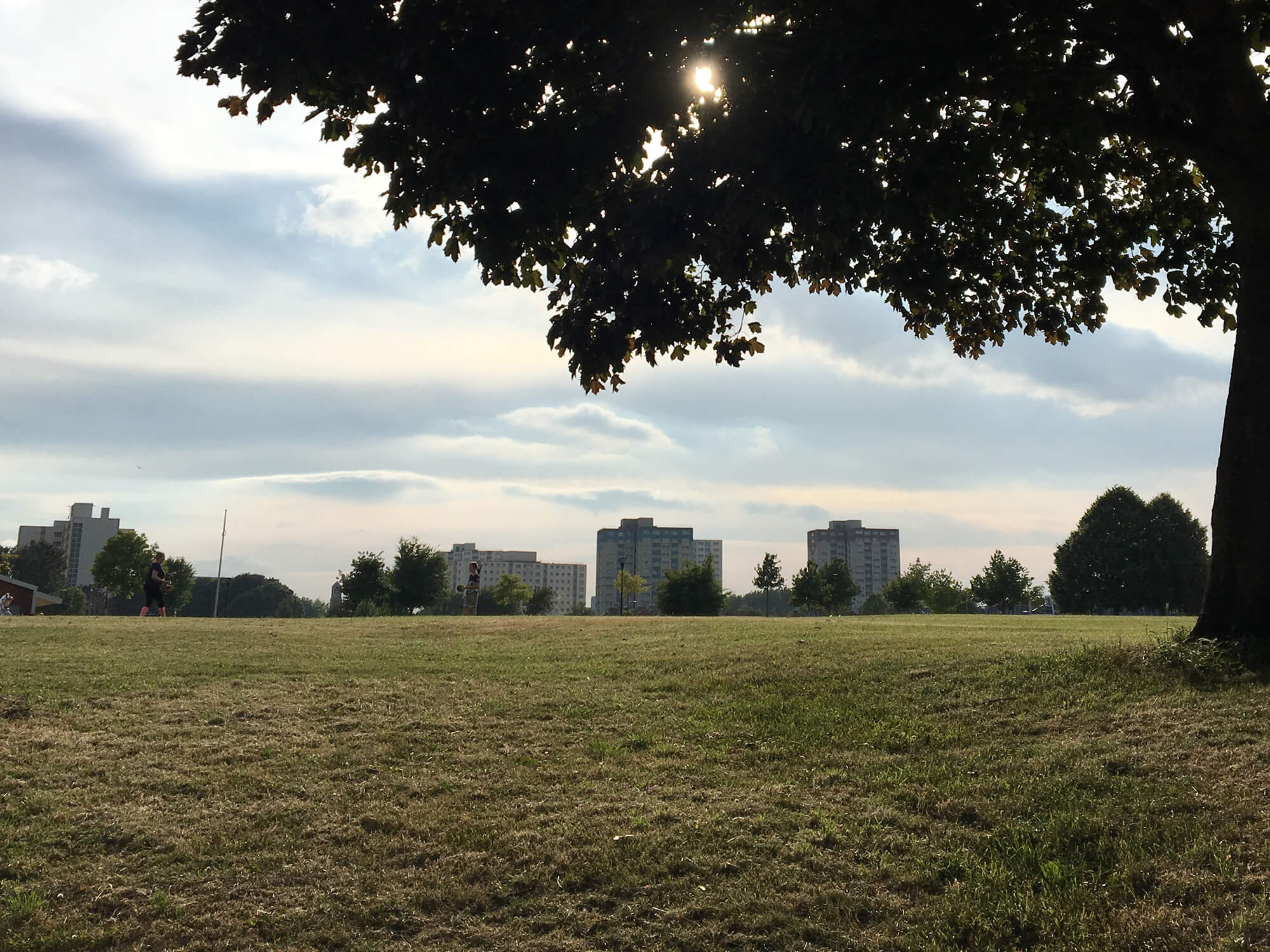 Netham Park - Bristol dog walk - Bristol Barkers