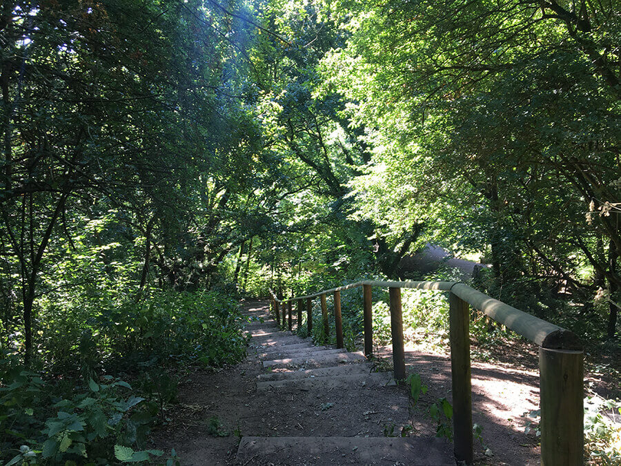 Nightingale Valley