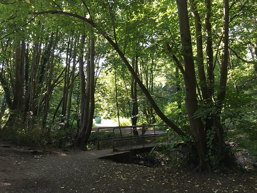 Nightingale Valley Activities