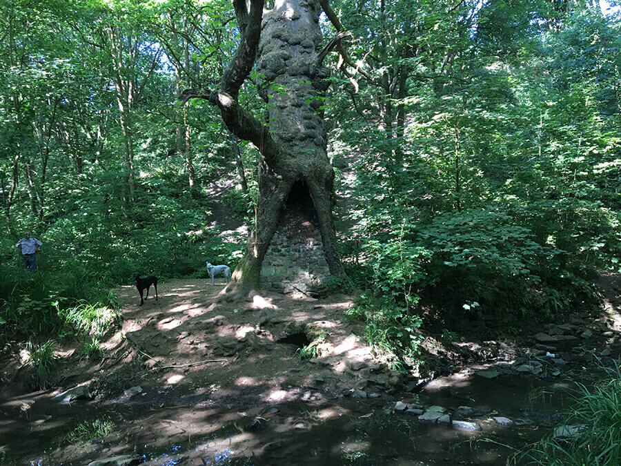 Nightingale Valley Entrance Fee