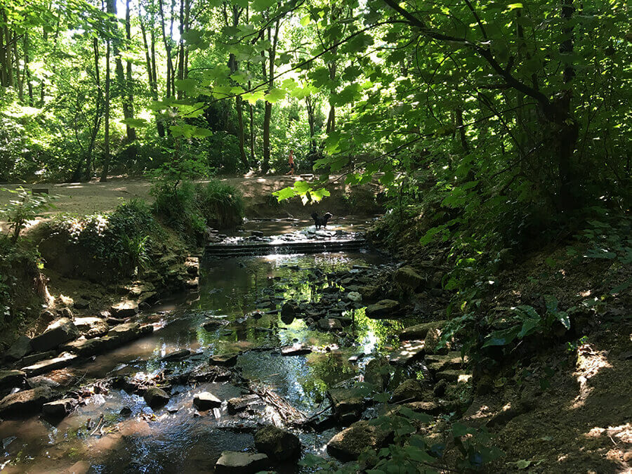 Nightingale Valley Entrance Fee