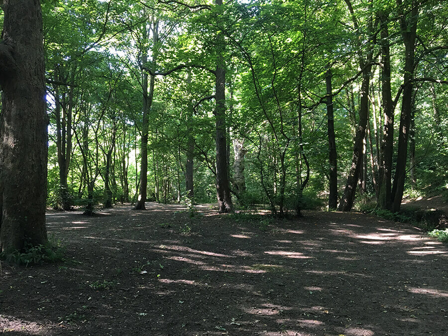 Nightingale Valley Map