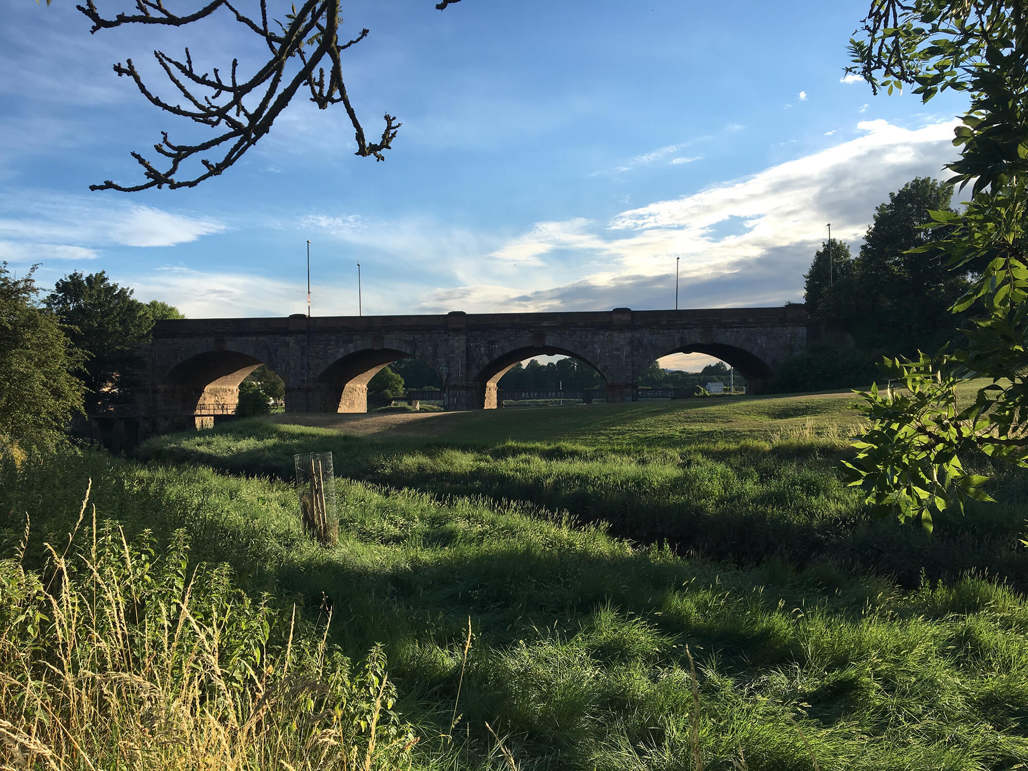 Sea Mills Open Space - Bristol dog walk - Bristol Barkers