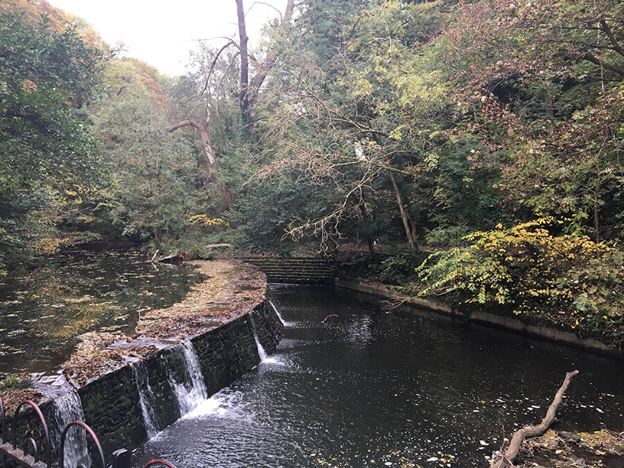 Snuff Mills Fishing