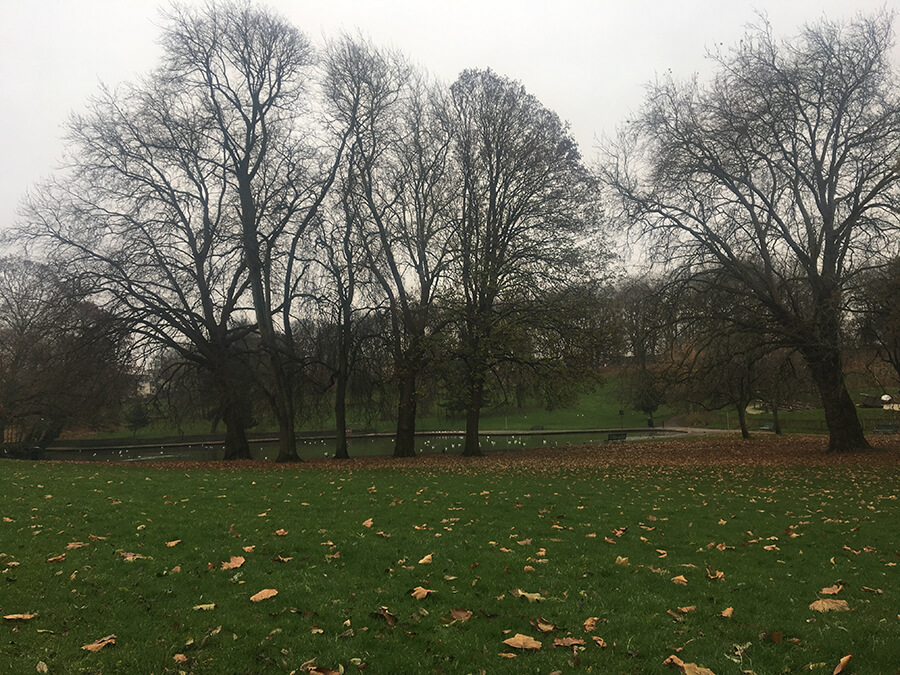 St. George Park Hour