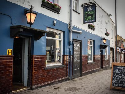 Image of The Dark Horse