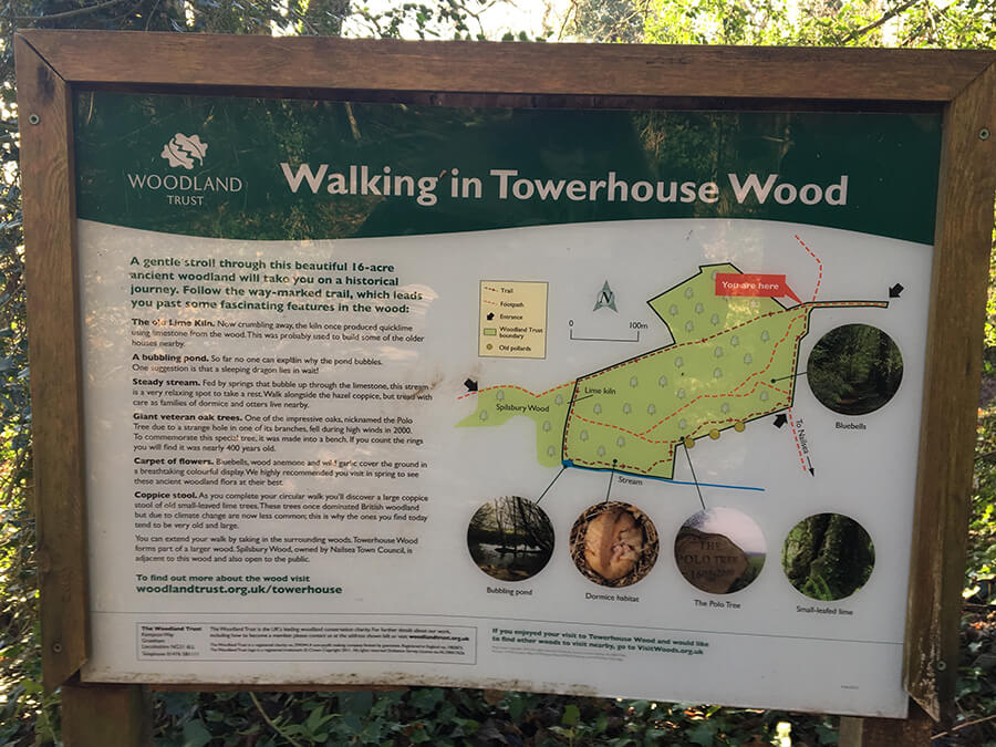 https://bristol-barkers.co.uk/wp-content/uploads/2018/02/Towerhouse_Wood_2.jpg