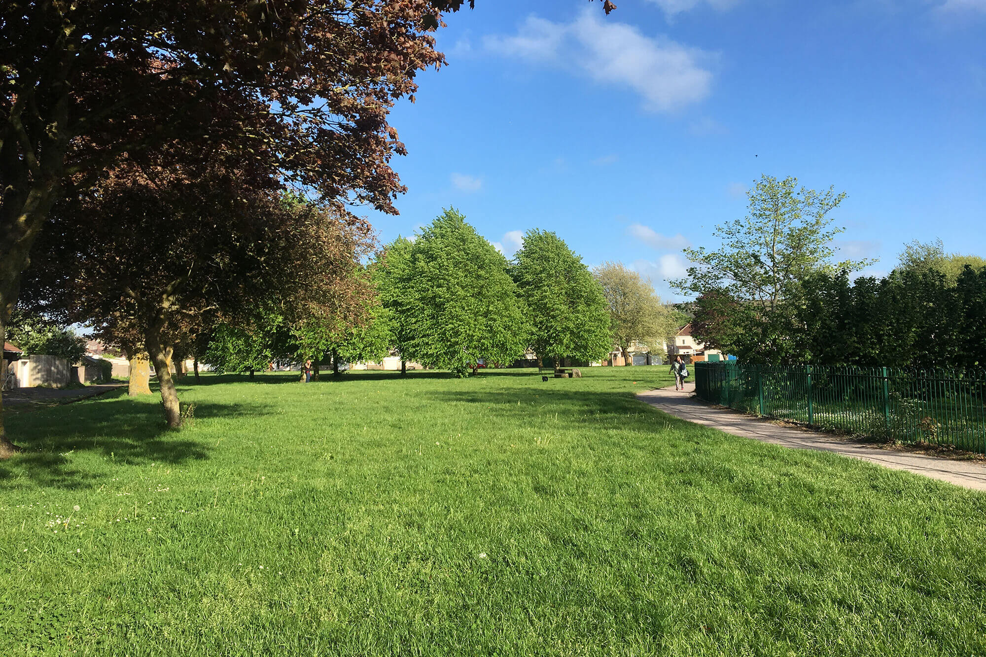 Gores Marsh Park Bristol dog walk Bristol Barkers