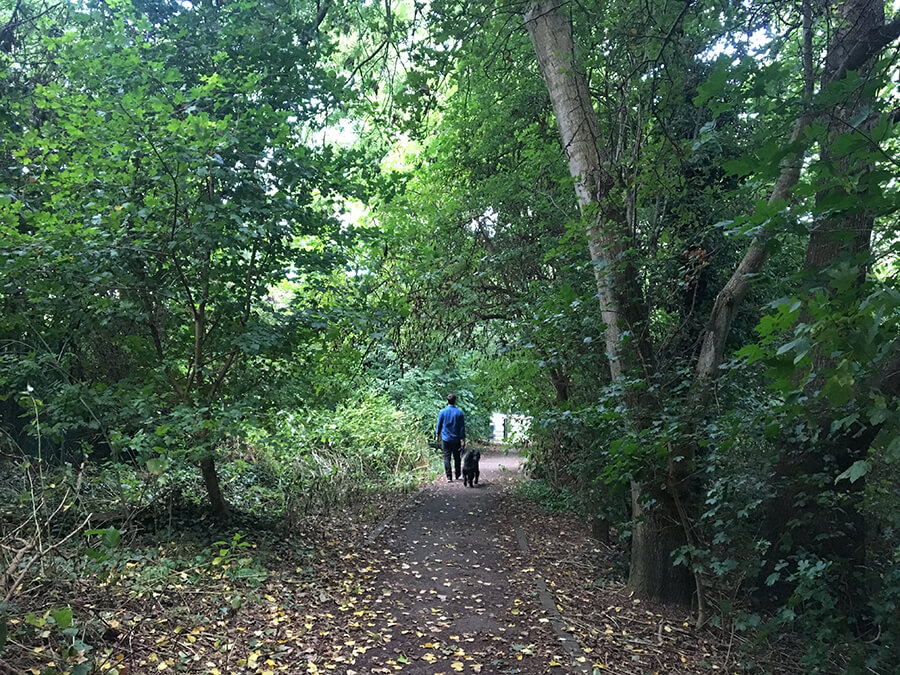 Callington Road Nature Reserve Bristol Dog Walk Bristol Barkers