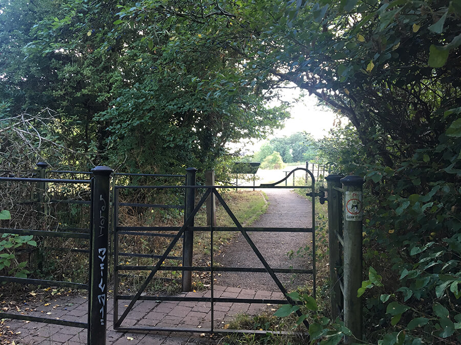 Callington Road Nature Reserve Bristol Dog Walk Bristol Barkers