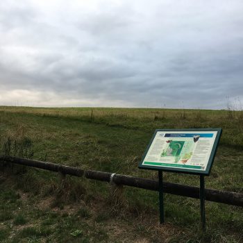 Eastwood Farm Nature Reserve - Bristol dog walk - Bristol Barkers