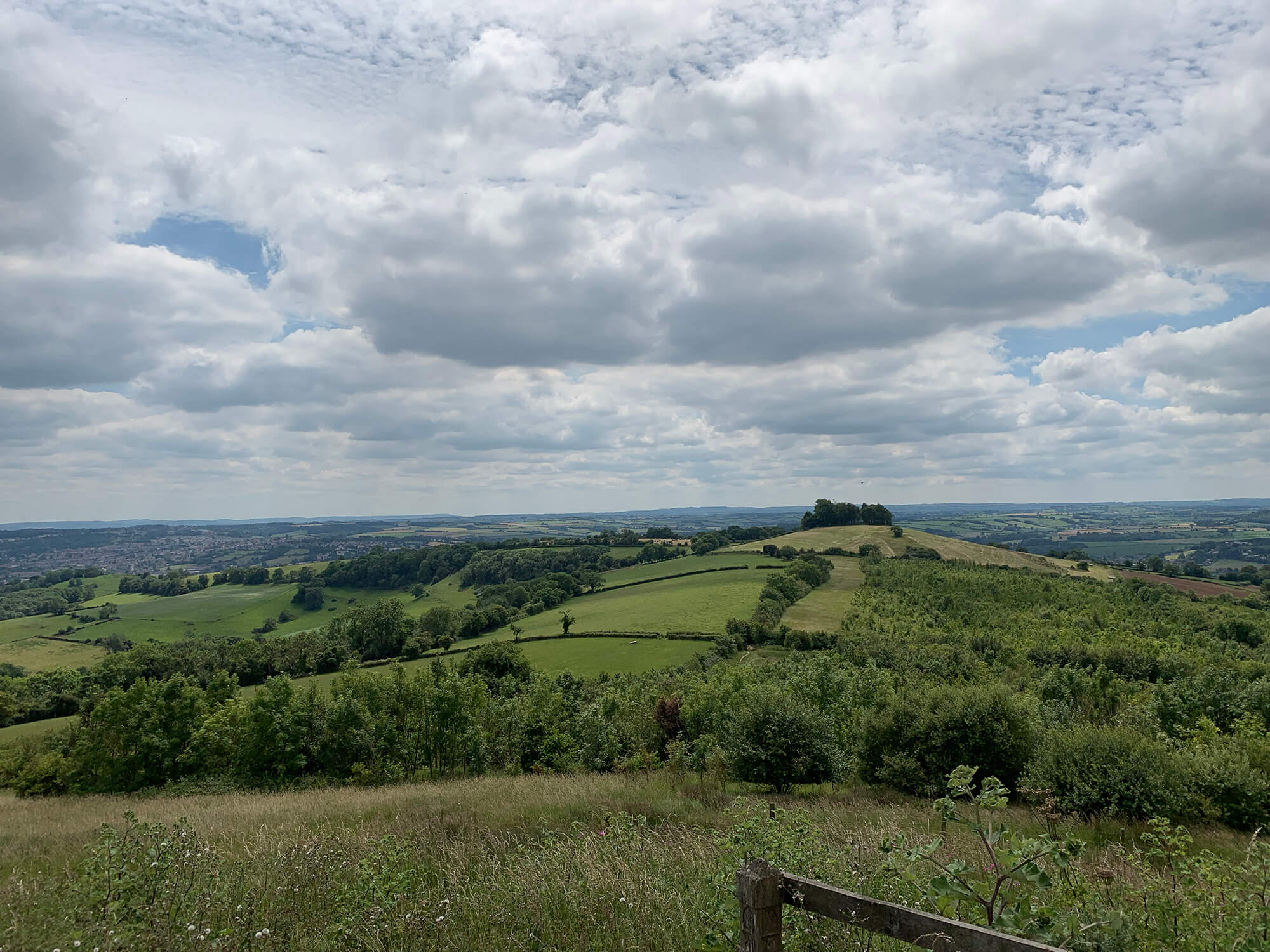 Kelston Roundhill - Bristol Dog Walk - Bristol Barkers