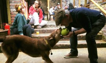 Image of https://bristol-barkers.co.uk/dog-friendly/the-volunteer-tavern/