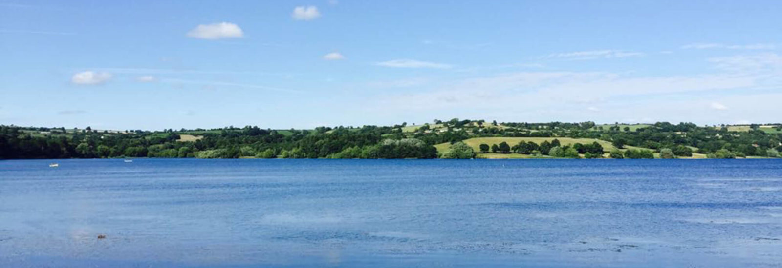 Blagdon Lake Bristol dog walk Bristol Barkers