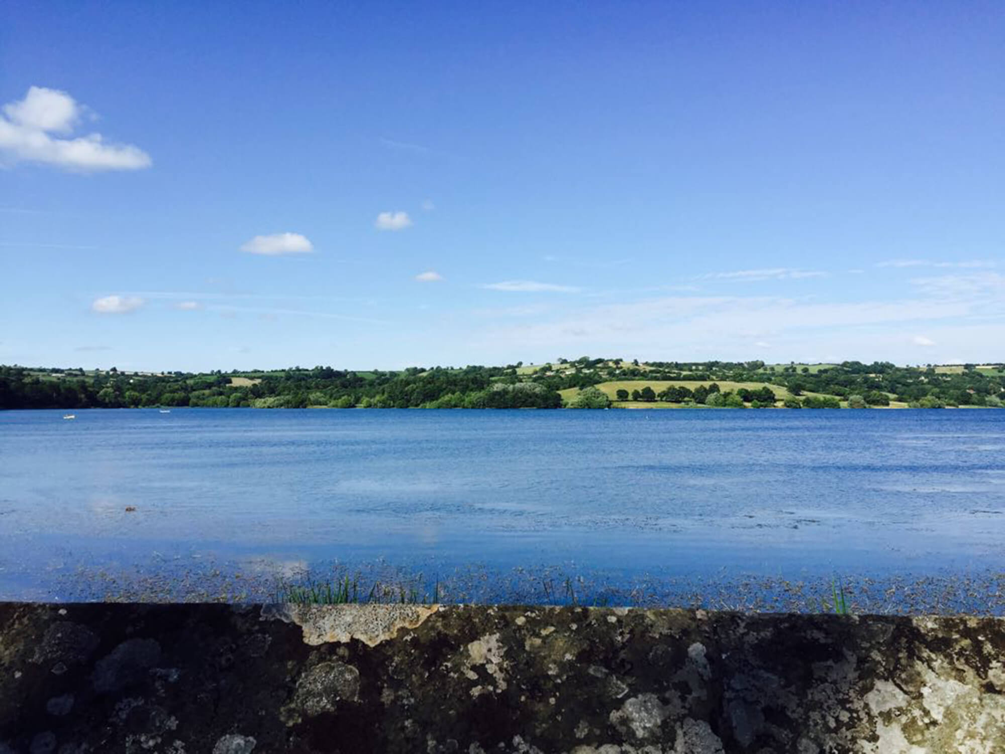 Blagdon Lake Bristol dog walk Bristol Barkers