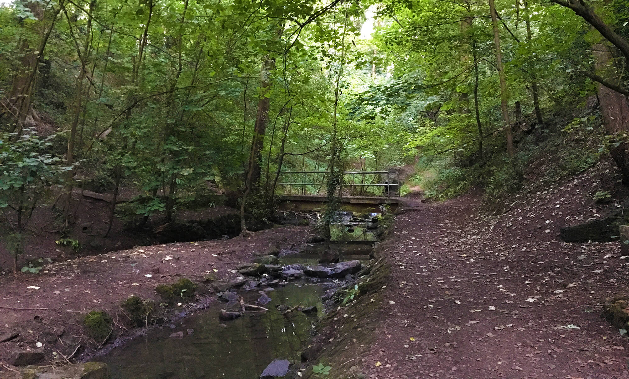 St Anne's Wood - Bristol dog walk - Bristol Barkers