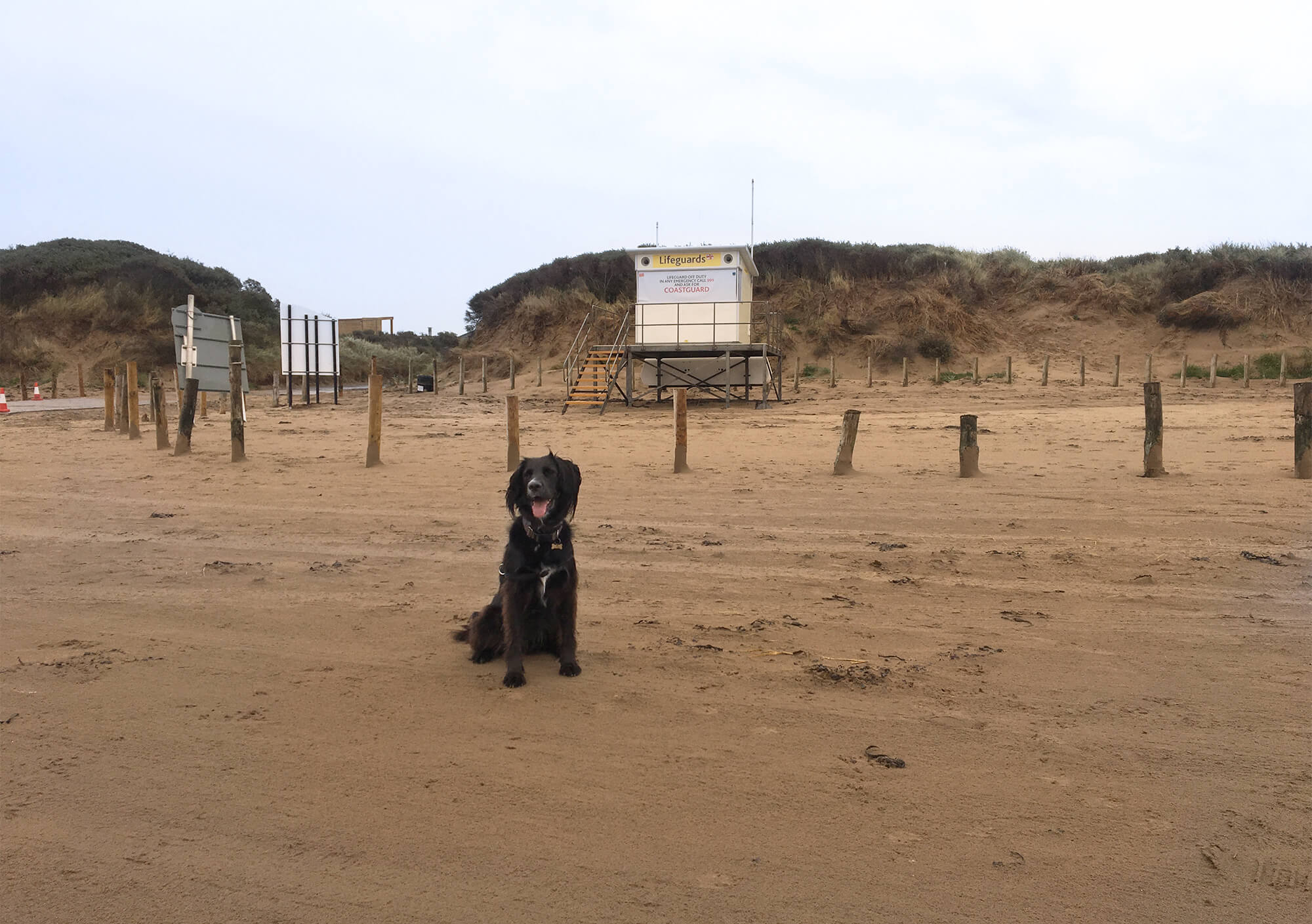 Berrow Beach Bristol dog walk Bristol Barkers