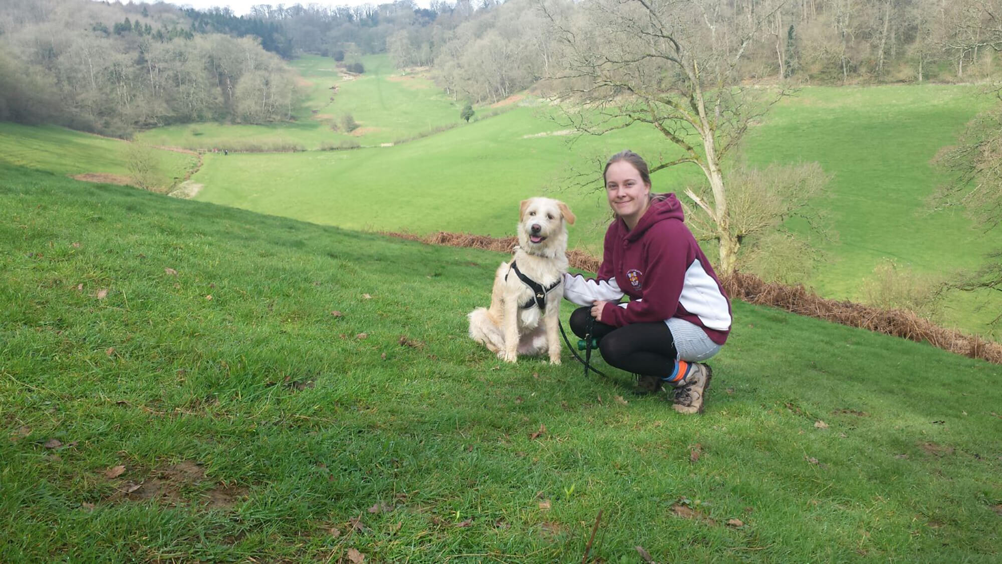 National Trust Newark Park Bristol dog walk Bristol Barkers