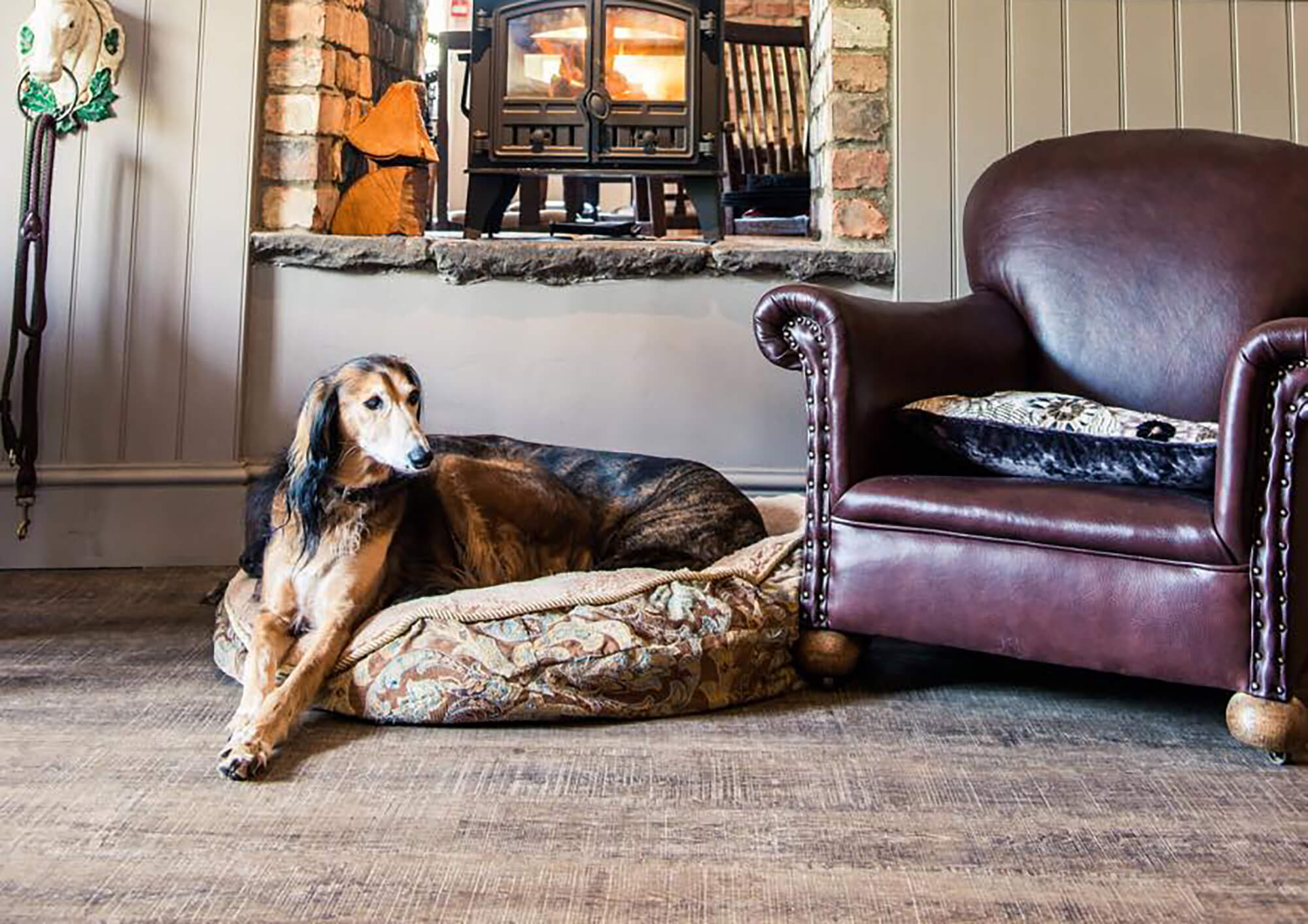 The White Horse Hambrook Bristol dog friendly Bristol Barkers