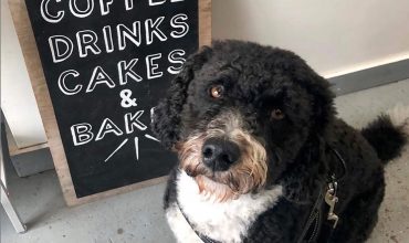 Image of https://bristol-barkers.co.uk/?post_type=dog-friendly&p=4355
