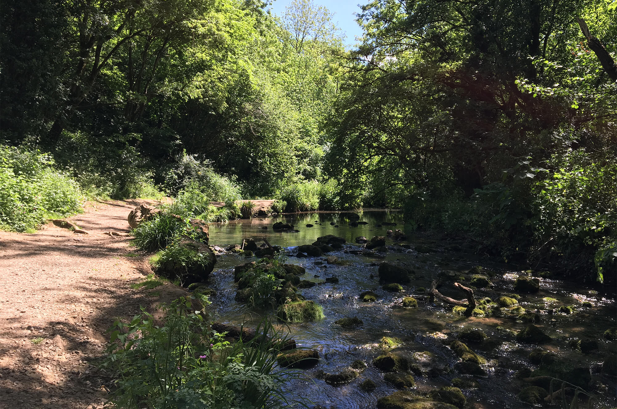 Vallis Vale - Bristol dog walk - Bristol Barkers