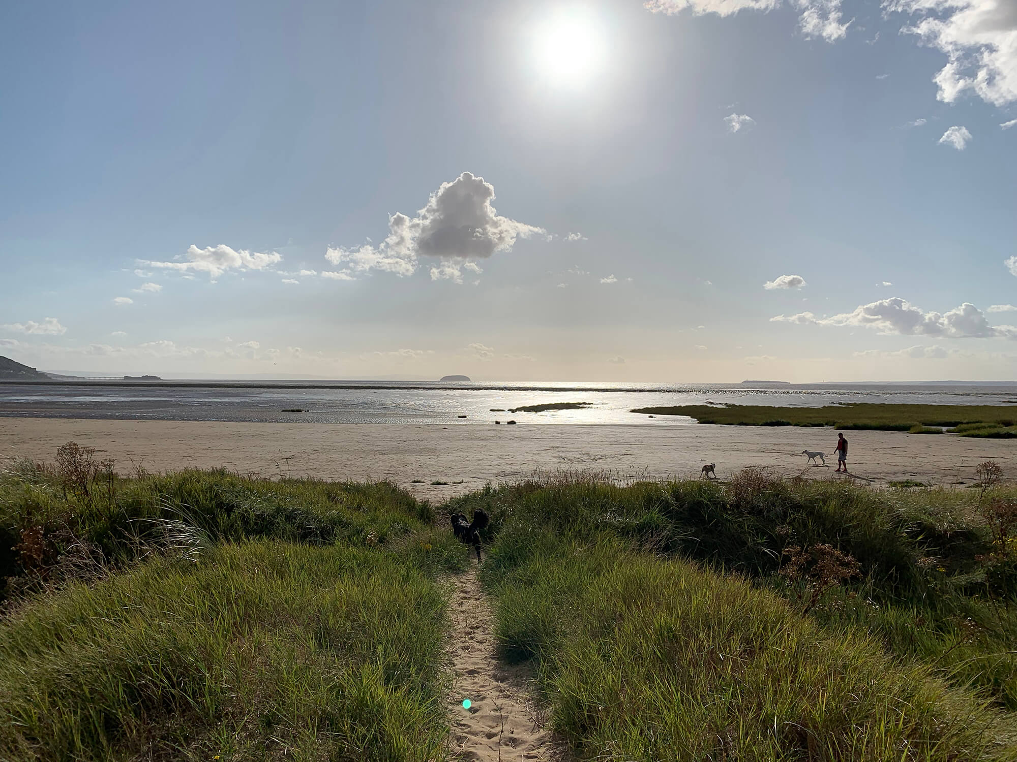 Sand Bay Beach - Bristol dog walk - Bristol Barkers