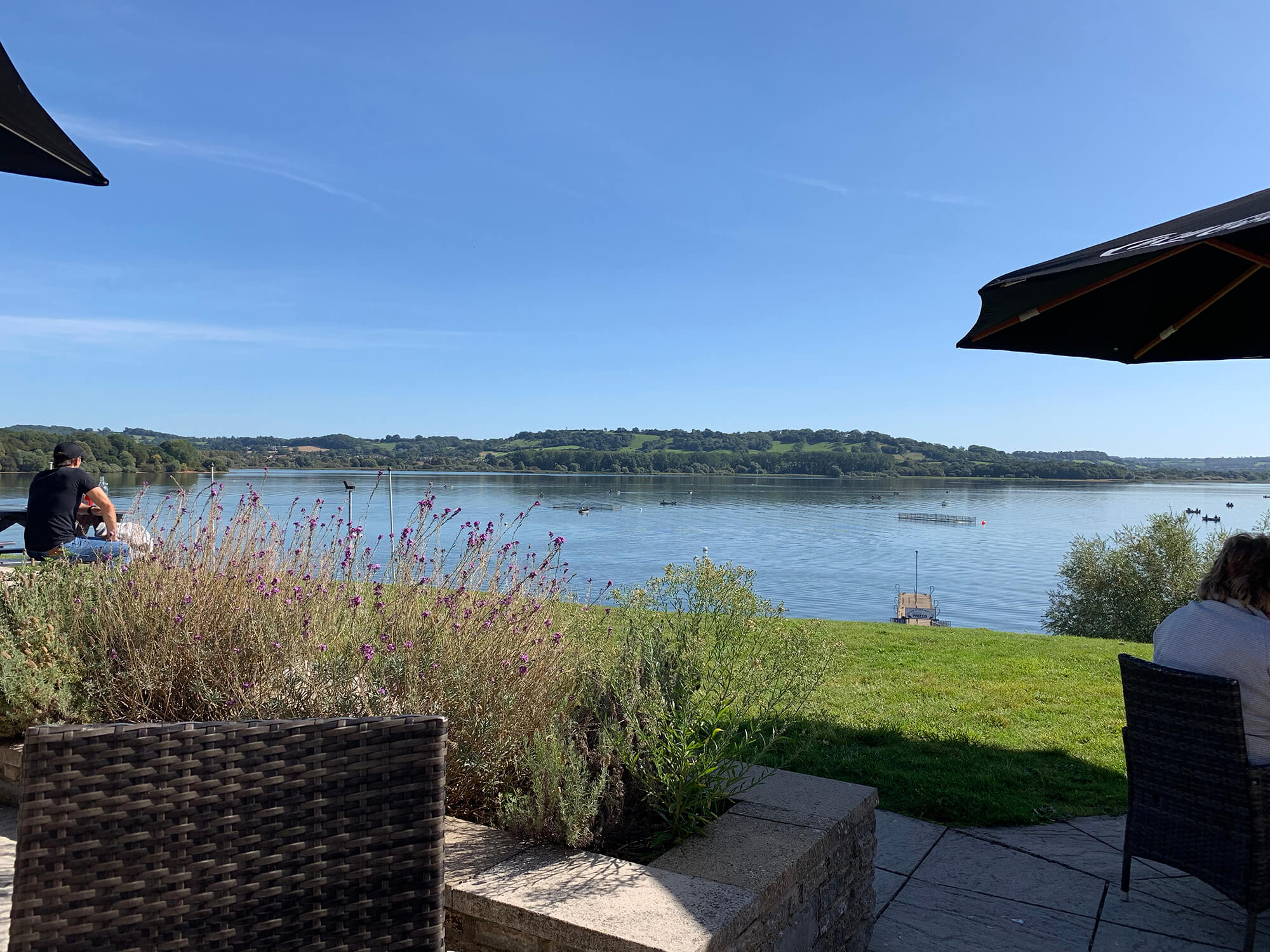 Woodford Lodge Bristol dog friendly Bristol Barkers