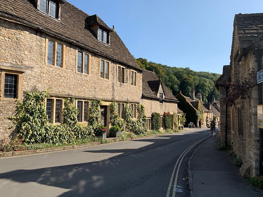 The Manor House - Bristol dog friendly - Bristol Barkers