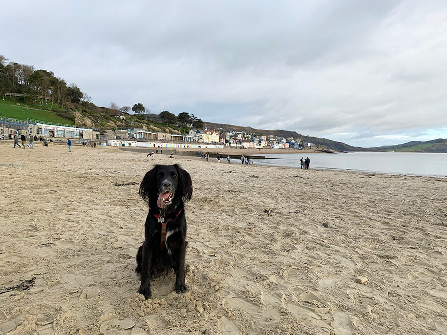 Dog friendly holiday near Lyme Regis Bristol Barkers