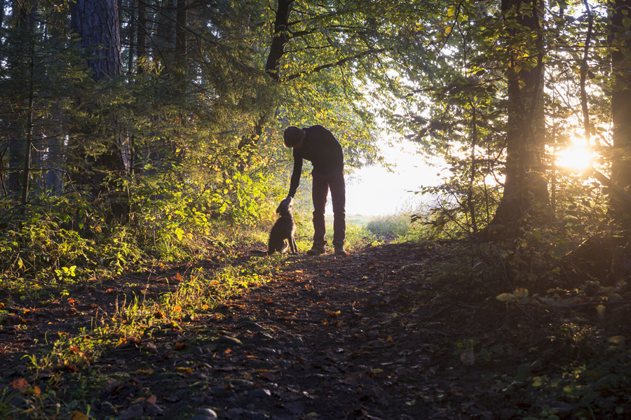 Walk quietly.