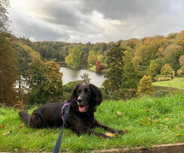 Instagram image of Stourhead-39