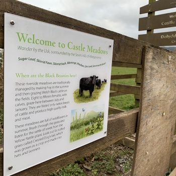 Castle Meadows - Bristol dog walk - Bristol Barkers