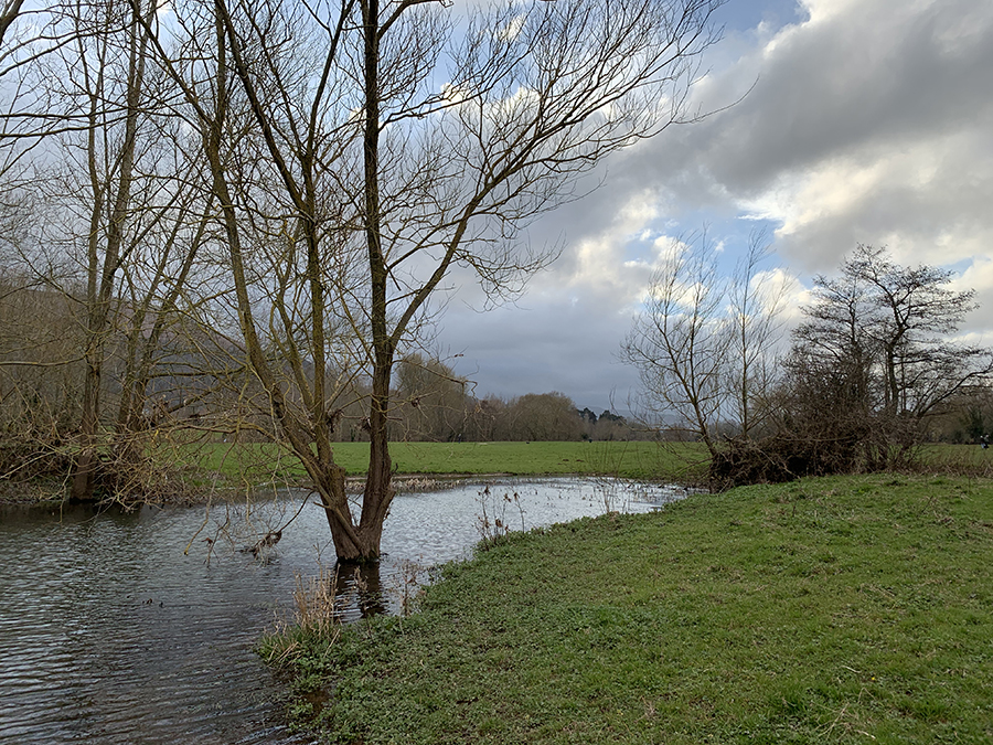image 7 of undefined