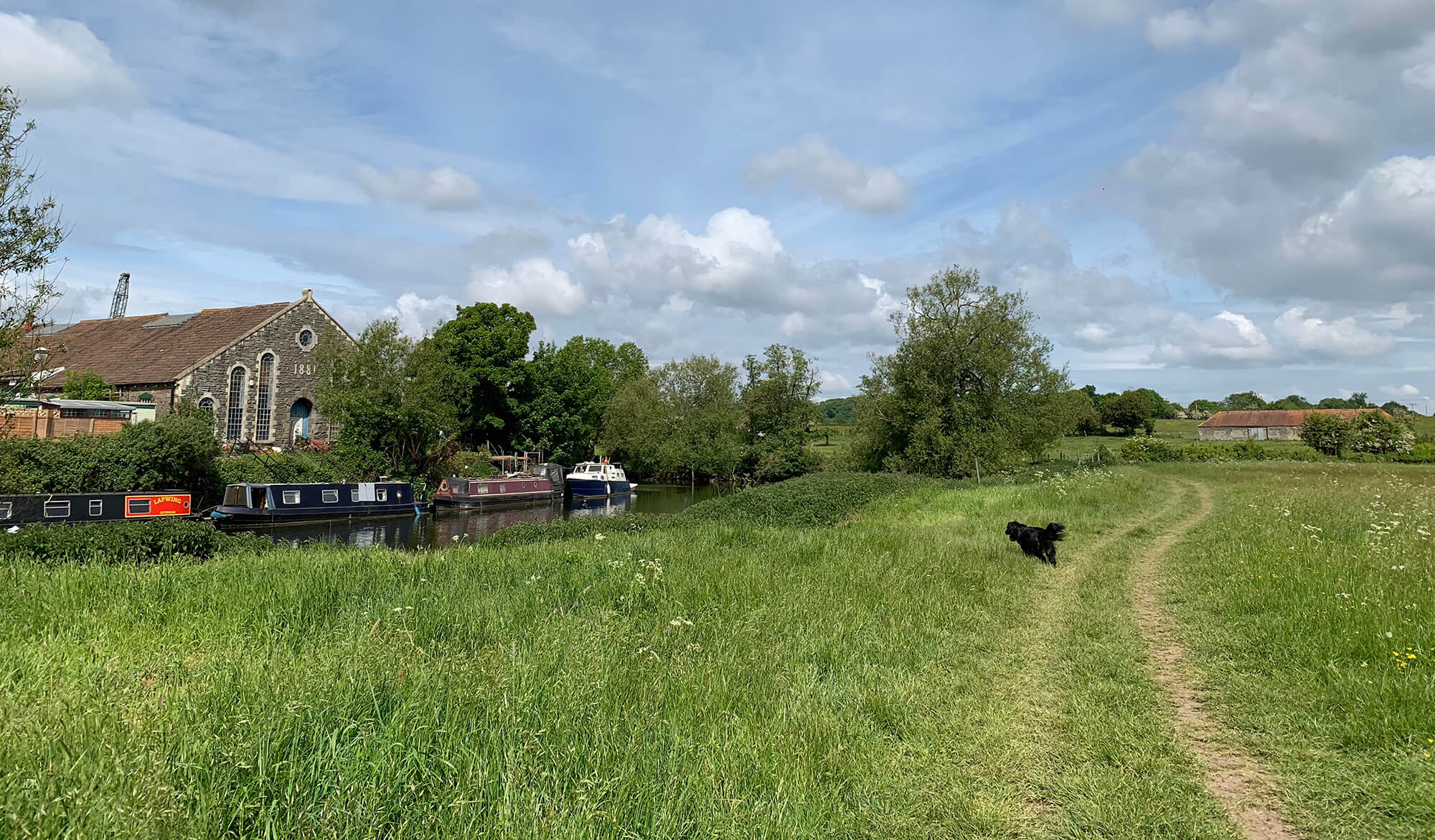 Swineford to Keynsham River Walk Bristol dog walk Bristol Barkers