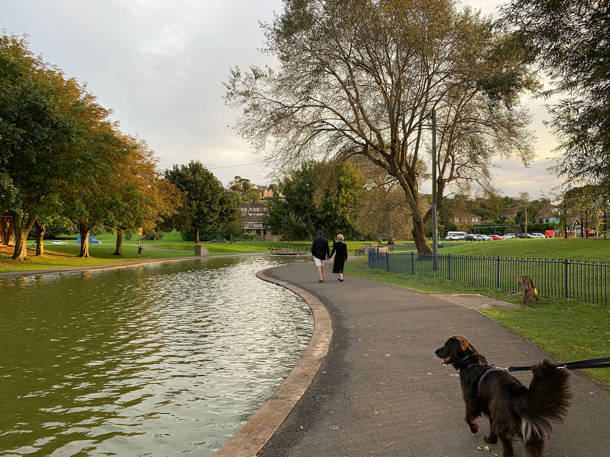 Portishead Lake Grounds & Woodhill Bay Bristol dog walk