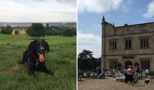 Image of Ashton Court Estate & Ashton Court Cafe