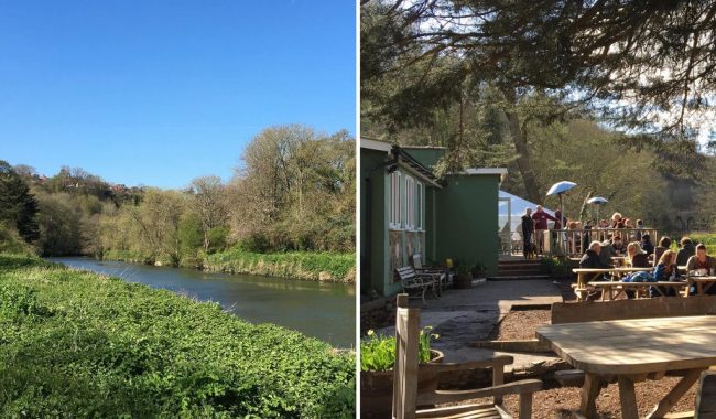 Image of Eastwood Farm Nature Reserve & Beese's Riverside Bar & Garden