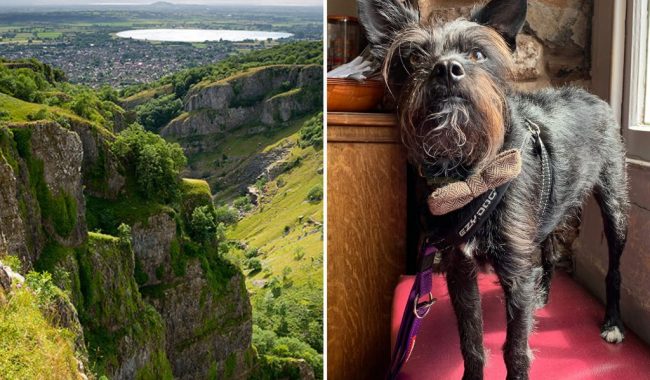 Image of Cheddar Gorge Circular & The White Hart