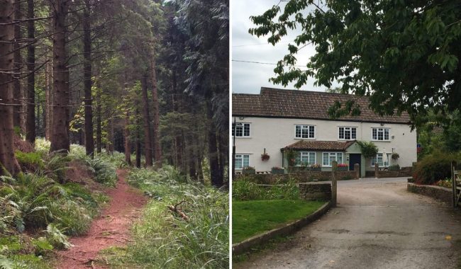 Image of Rowberrow Warren & The Swan Inn