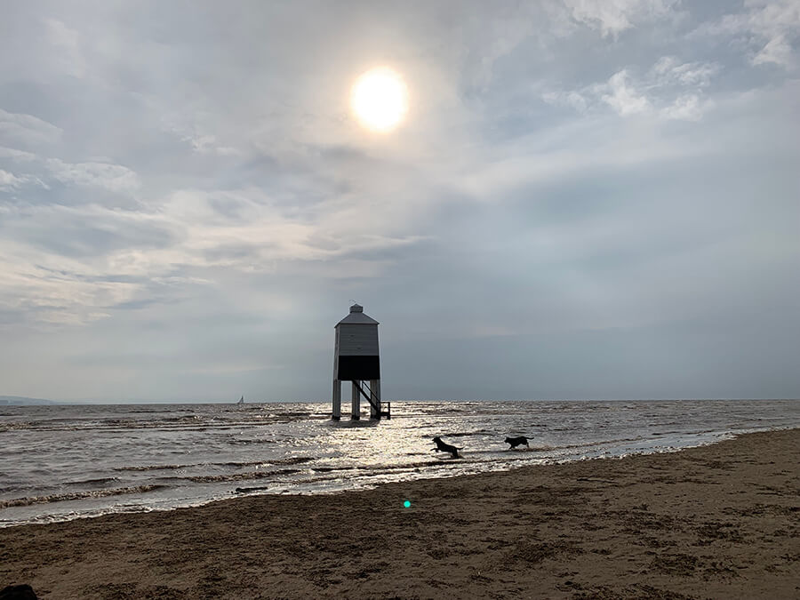 is burnham beach dog friendly