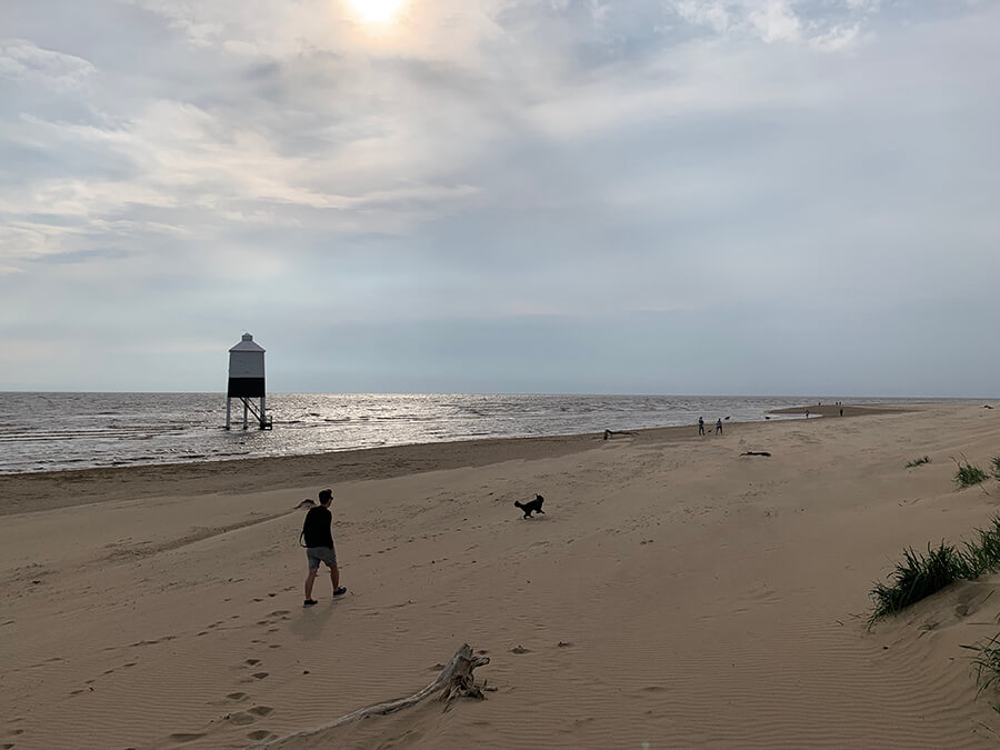 is burnham beach dog friendly