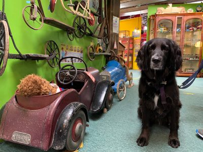 Image of Cotswold Motoring Museum & Toy Collection