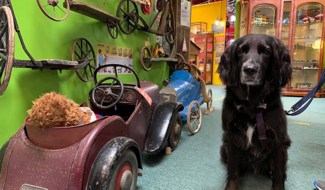 Image of Cotswold Motoring Museum & Toy Collection