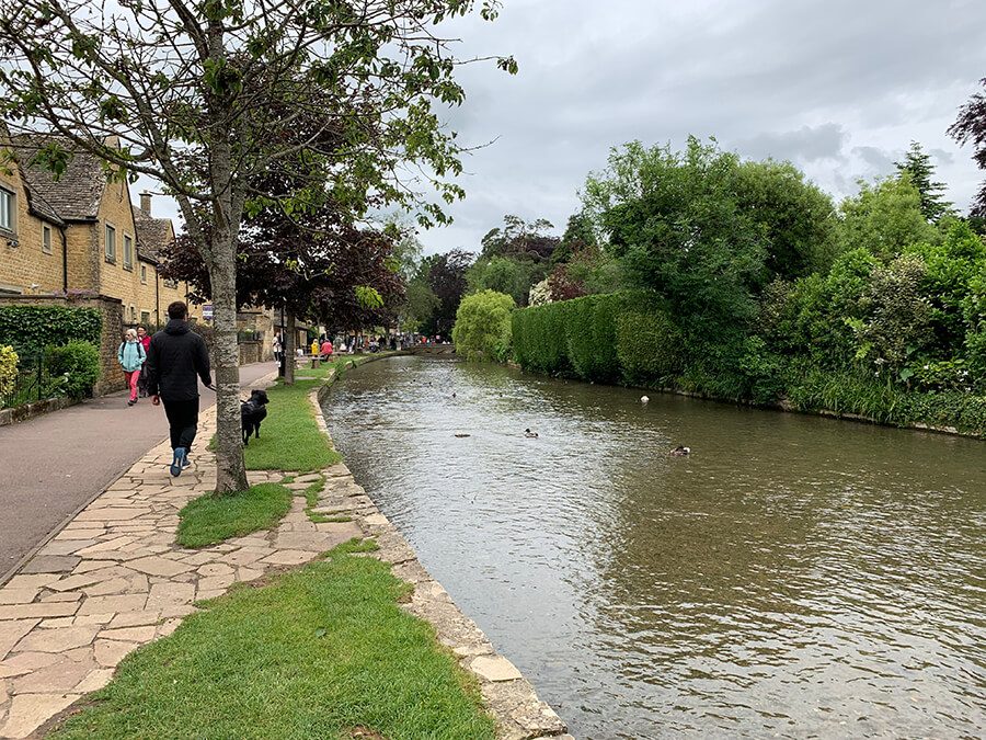 Pet shop clearance canal walk