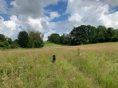 Image of Deerhurst River Severn Circular Walk